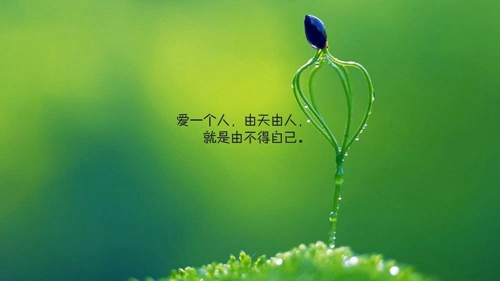 外國小女孩頭像搞怪2