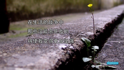 廣東游戲頭像12