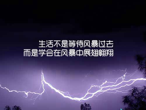 動漫女頭紫色系小仙女頭像10