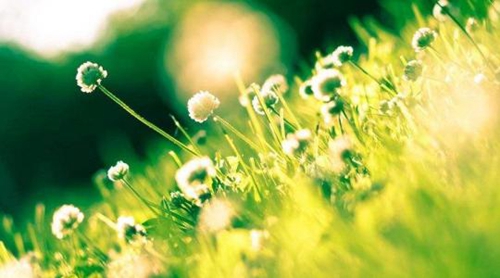 漫畫帥哥圖片微信頭像高清9