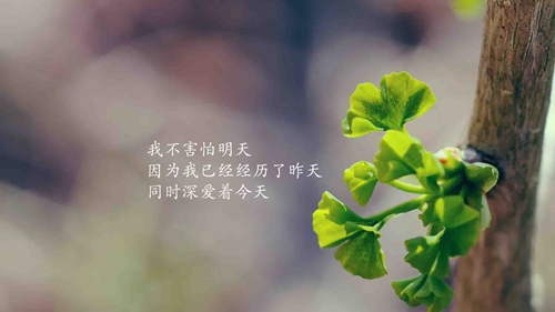 酷的背影頭像男生8