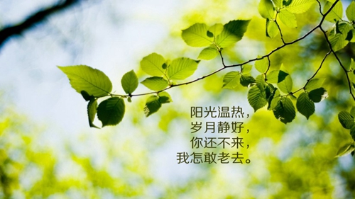 超個性頭像女大全動漫6