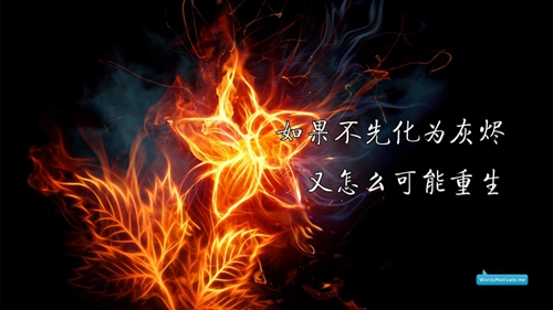鄭爽你笑起來真好看頭像視頻10