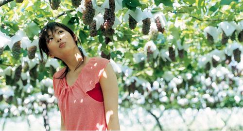 云南有哪些花圖片頭像女可愛4