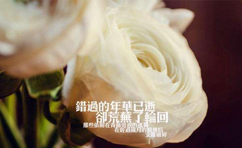 抖音就是玩兒是什么梗