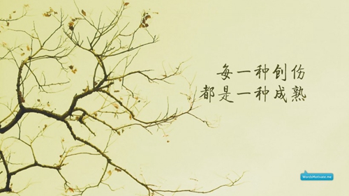 抖音冬天的第一根糖葫蘆是什么梗