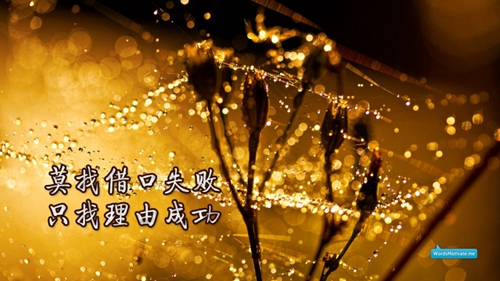 抖音林更新官宣戀情了是什么操作