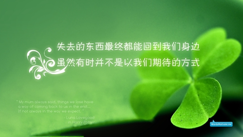世界上最喜歡林有有是什么梗