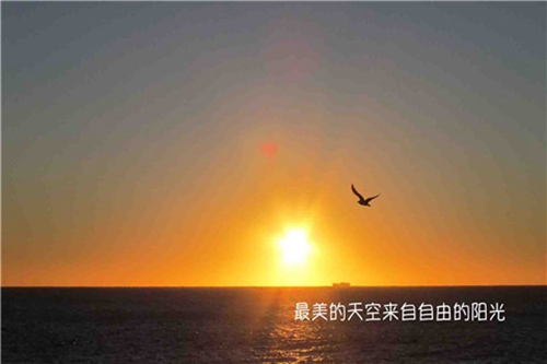 抖音小腦袋瓜熱昏頭是什么梗