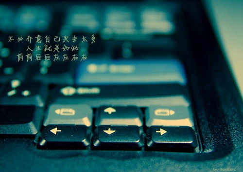 健康快樂(lè)首要論是什么梗