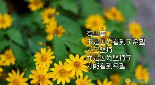 人物描寫(xiě)悲傷的句子大全2