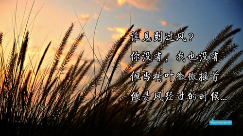 王者榮耀特殊網名兩行
