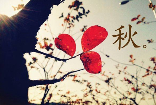 好記好背的優美句子