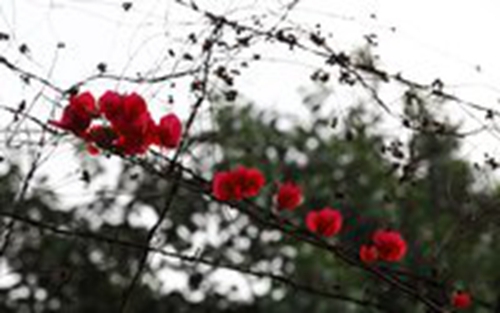 能表示無(wú)語(yǔ)的網(wǎng)名有哪些